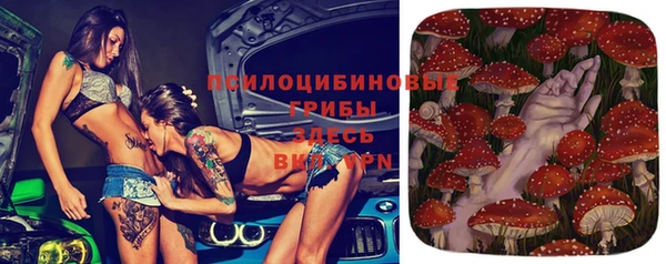 гидра Абинск