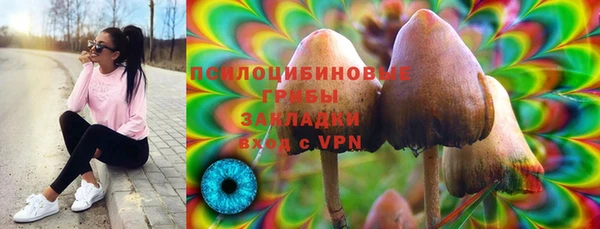 гидра Абинск